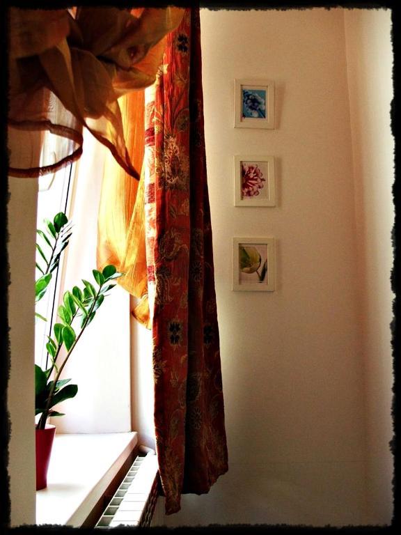 Apartamenty I Studia Herbarium Красков Стая снимка