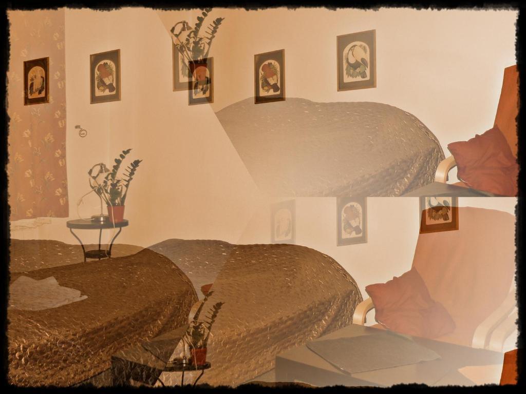 Apartamenty I Studia Herbarium Красков Стая снимка