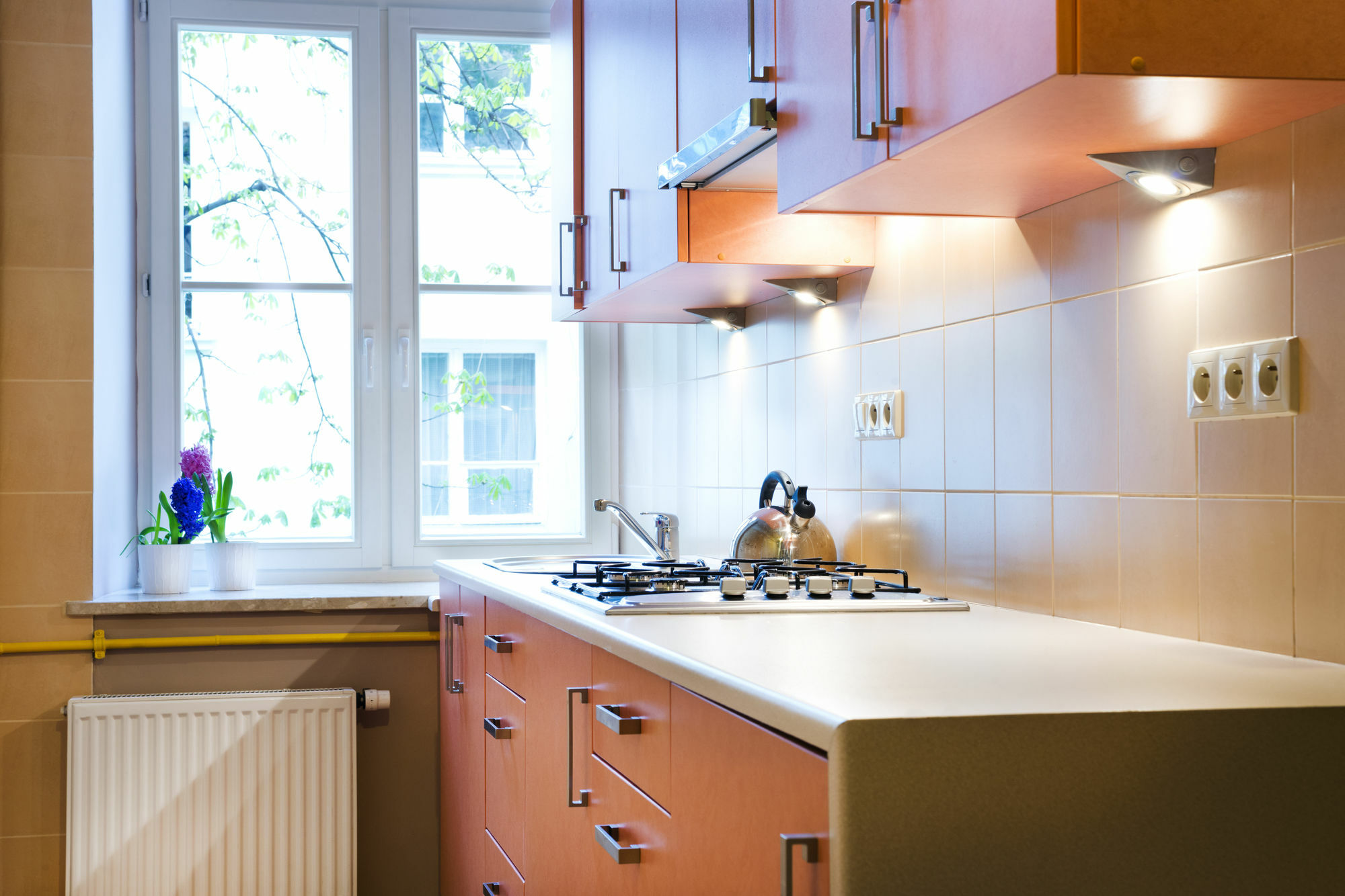 Apartamenty I Studia Herbarium Красков Екстериор снимка